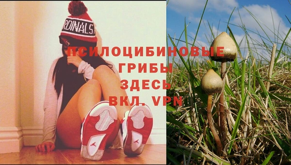 jwh Володарск