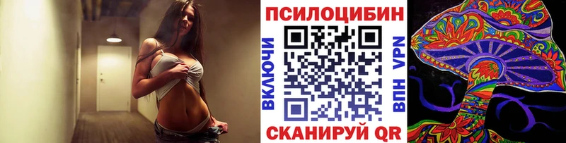 Купить  Ковдор  Галлюциногенные грибы мицелий 