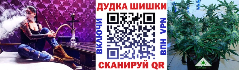 Купить где  Ковдор  Шишки марихуана Bruce Banner 